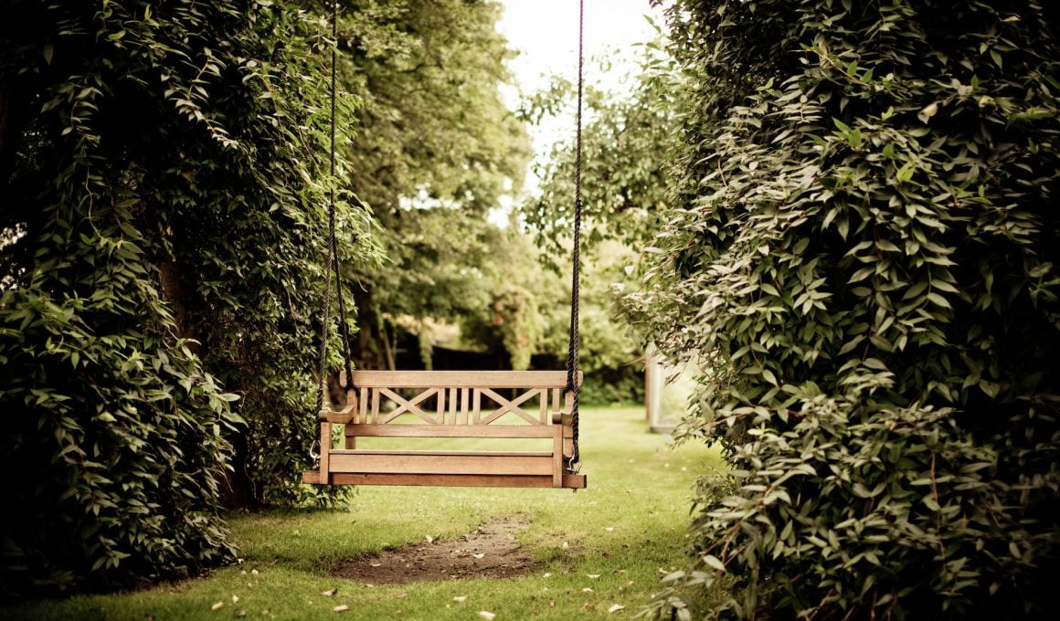 gazebo against trees